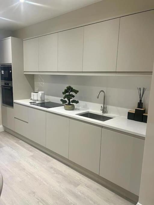 New Flat In Holland Park Apartment London Ngoại thất bức ảnh
